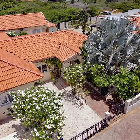 Boutique Hotel Swiss Paradise Aruba Villas And Suites-3